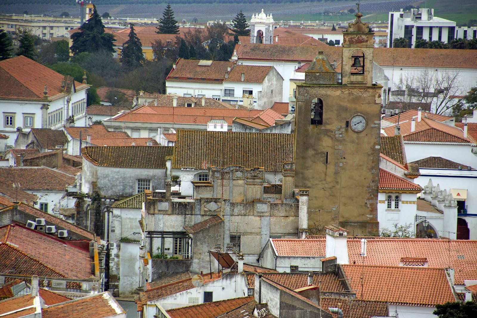 Beja