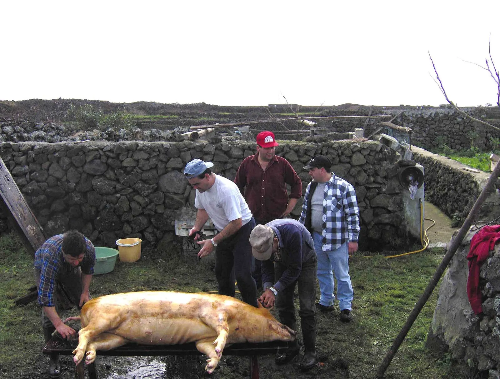 Matança do Porco
