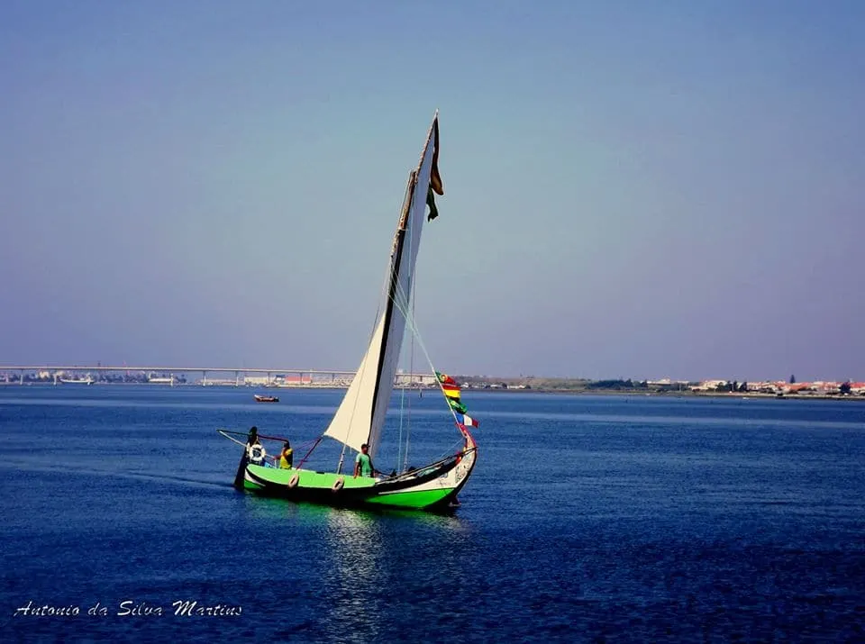Barco Moliceiro