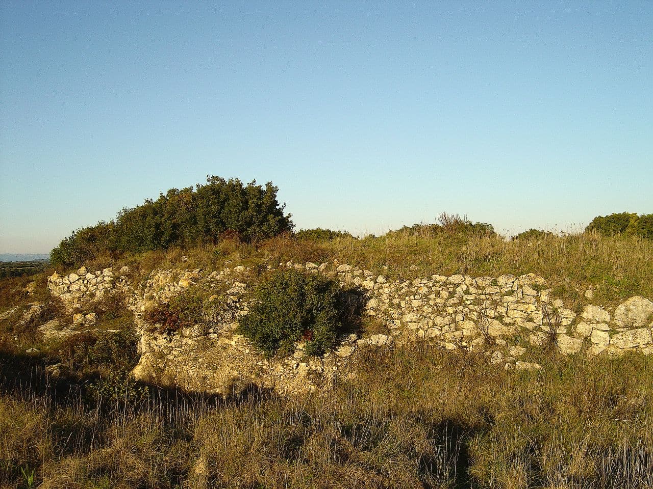 Vila Nova de São Pedro