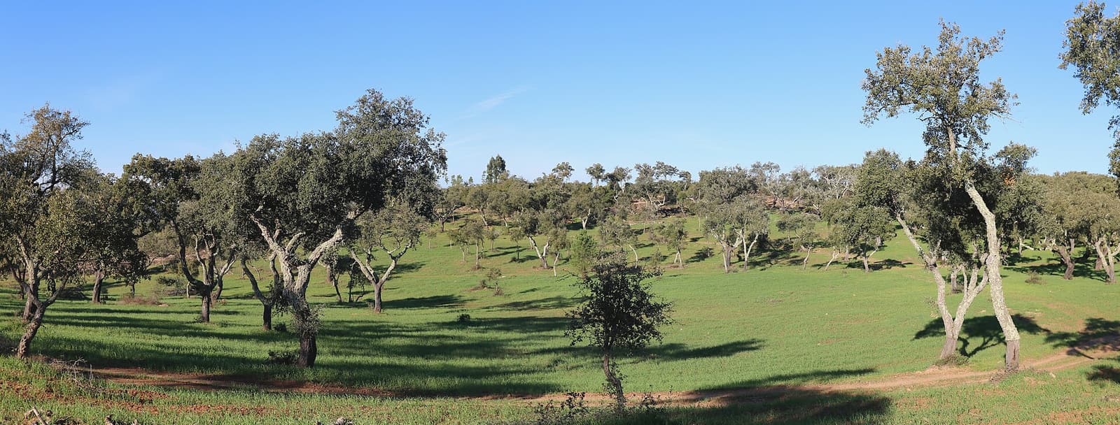 Cromlech von Almendres