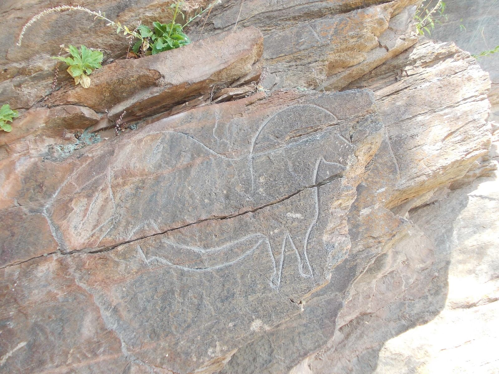 The Mazouco rock engravings