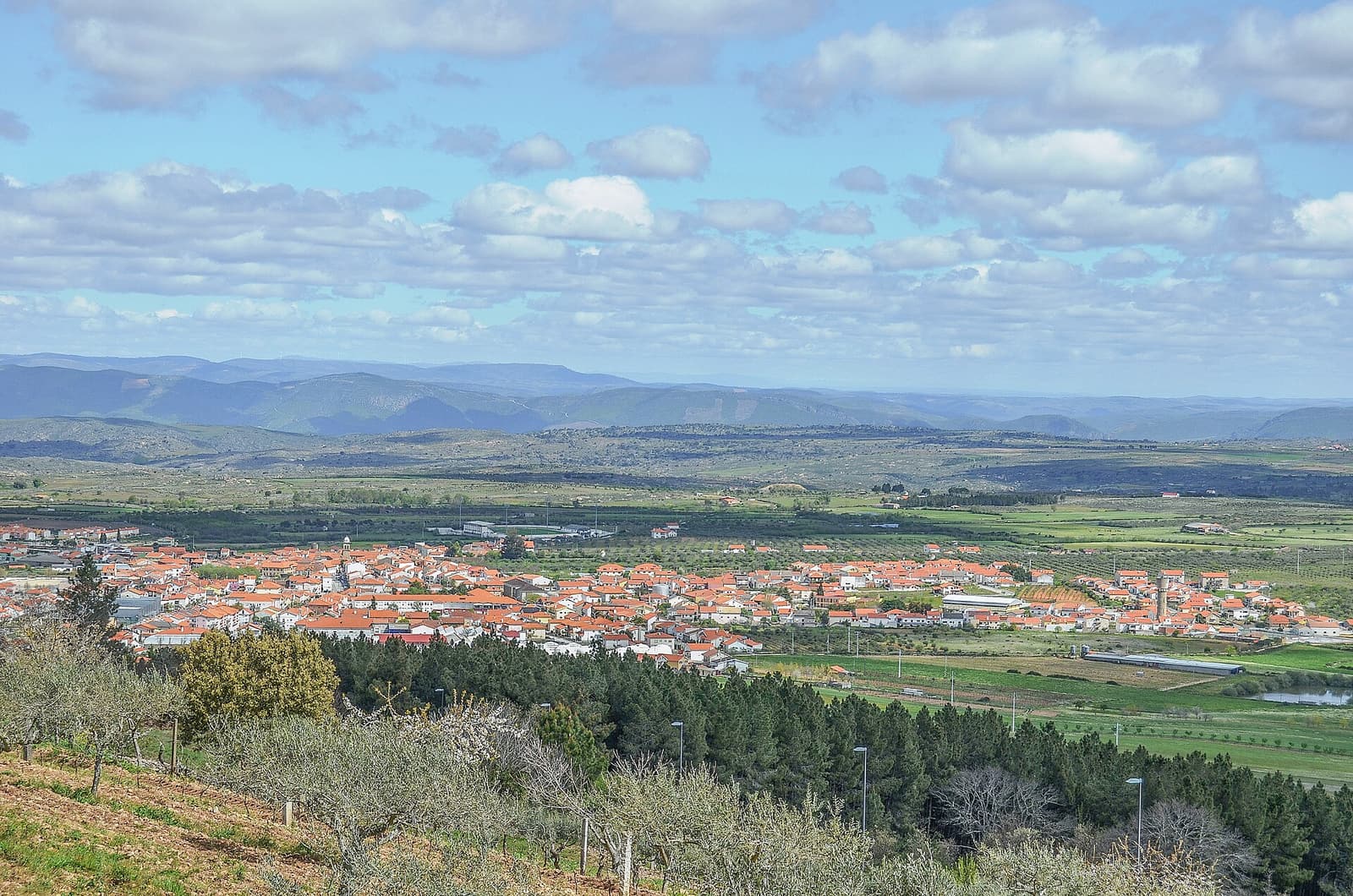 Figueira de Castelo Rodrigo