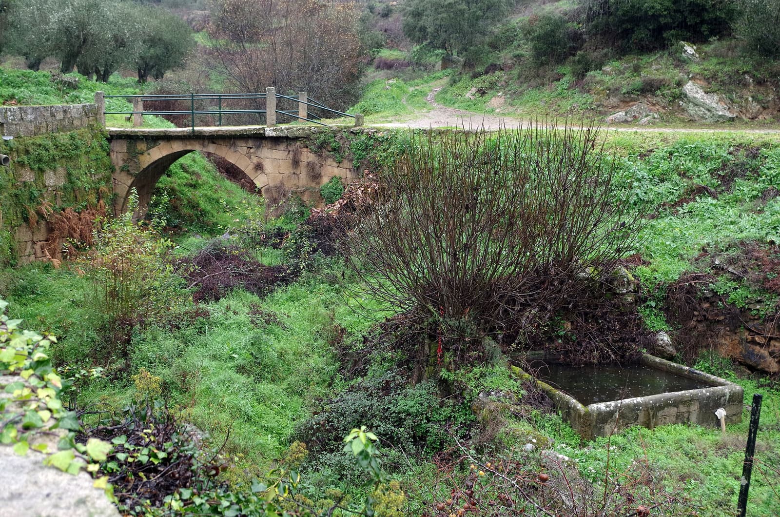 Ribeira de Piscos