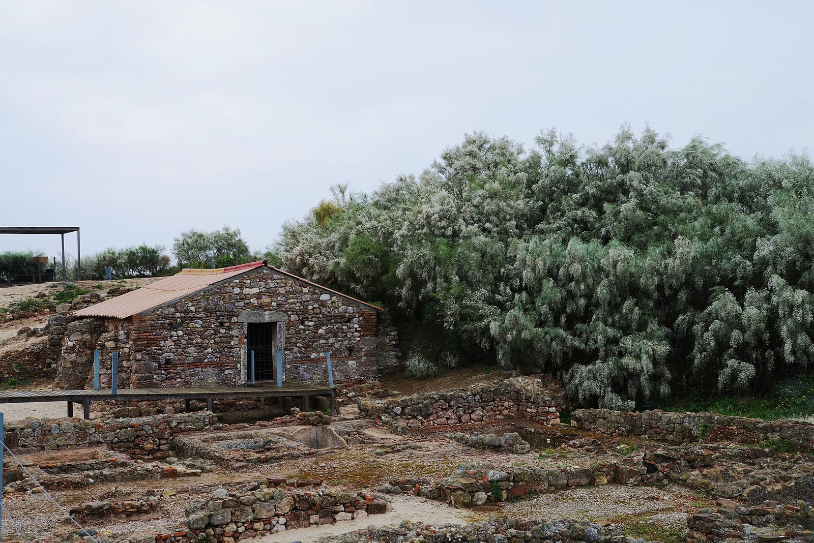 Roman Ruins of Tróia