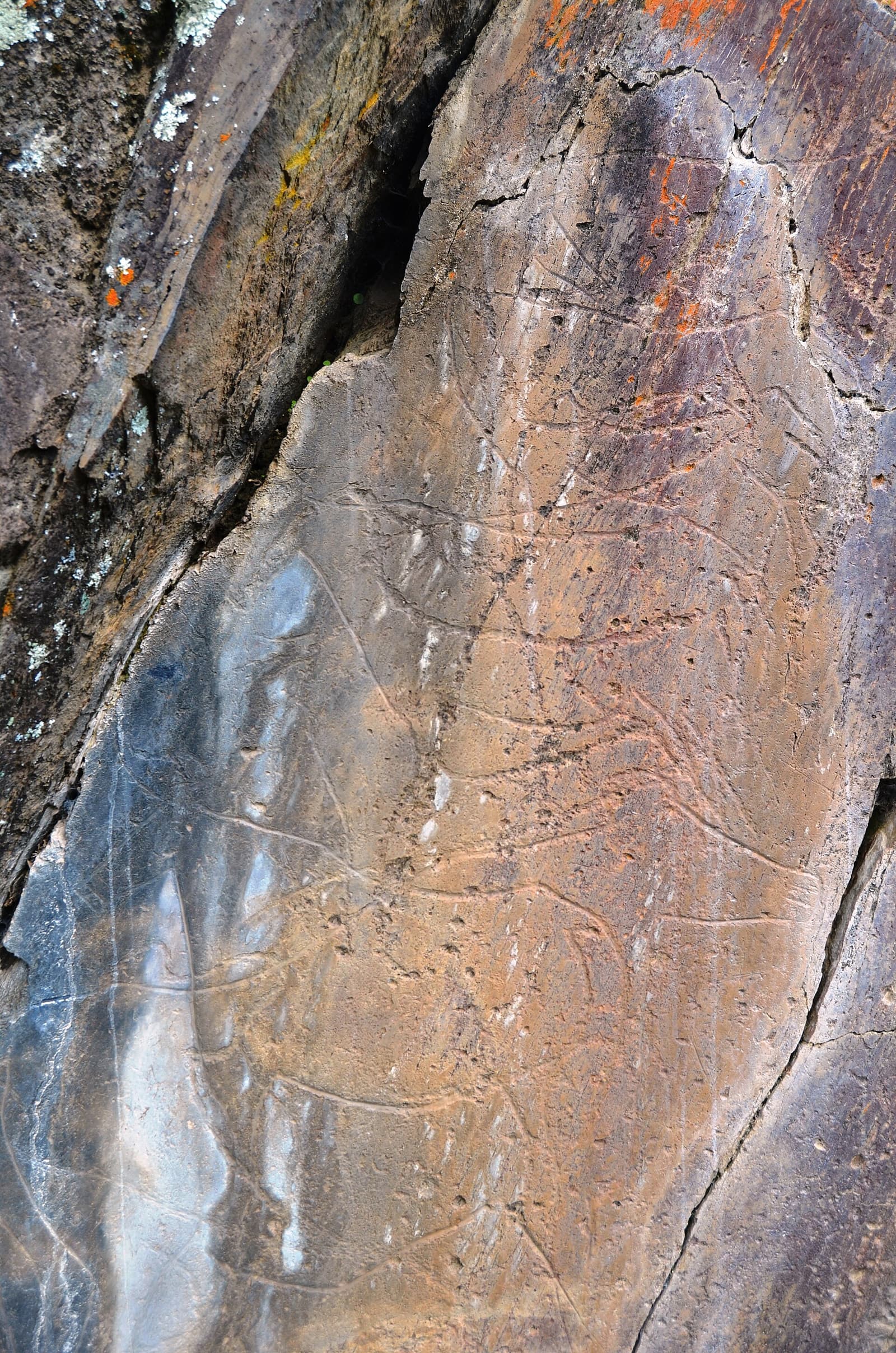 The Paleolithic in Portugal