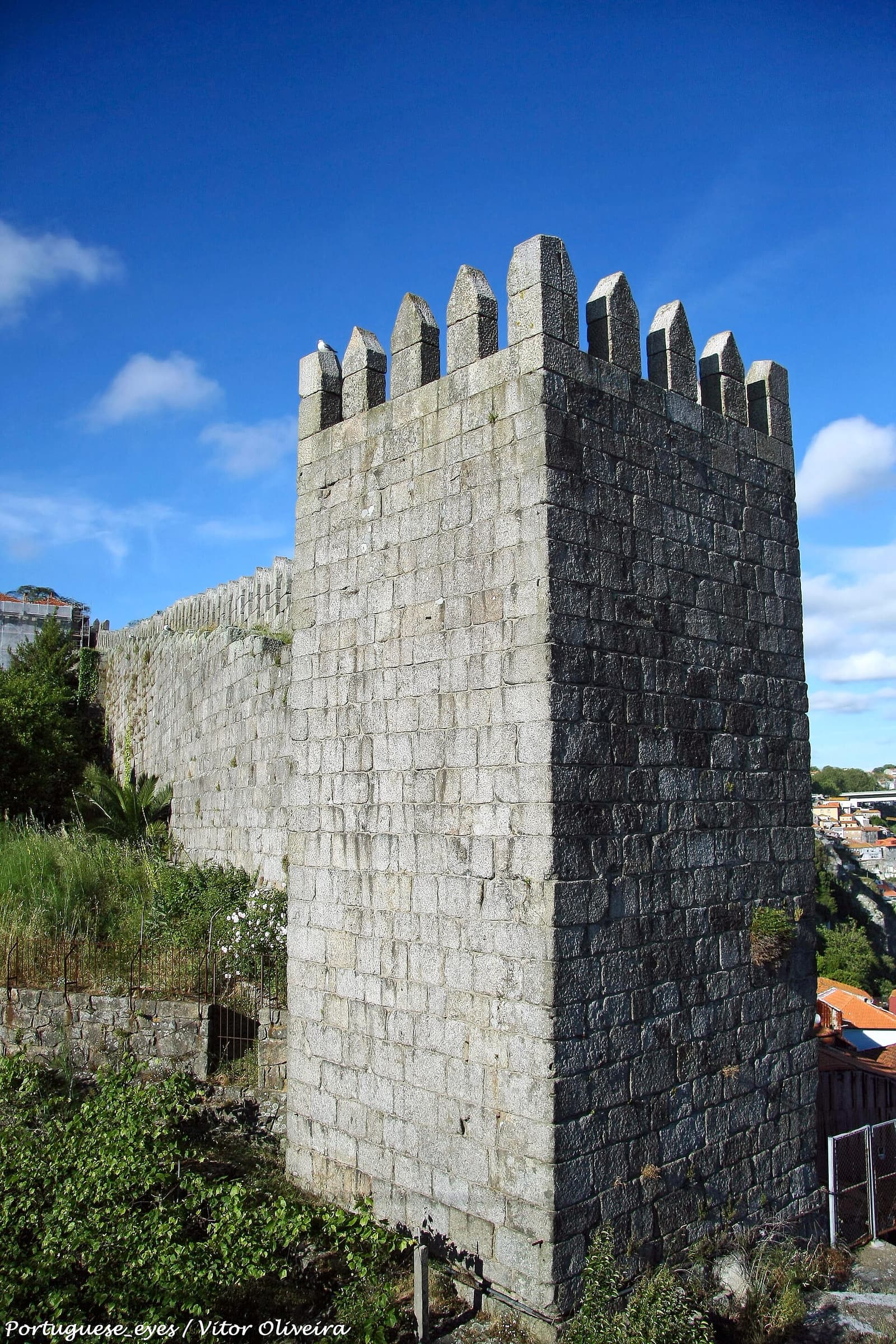 Rota do Vinho do Porto