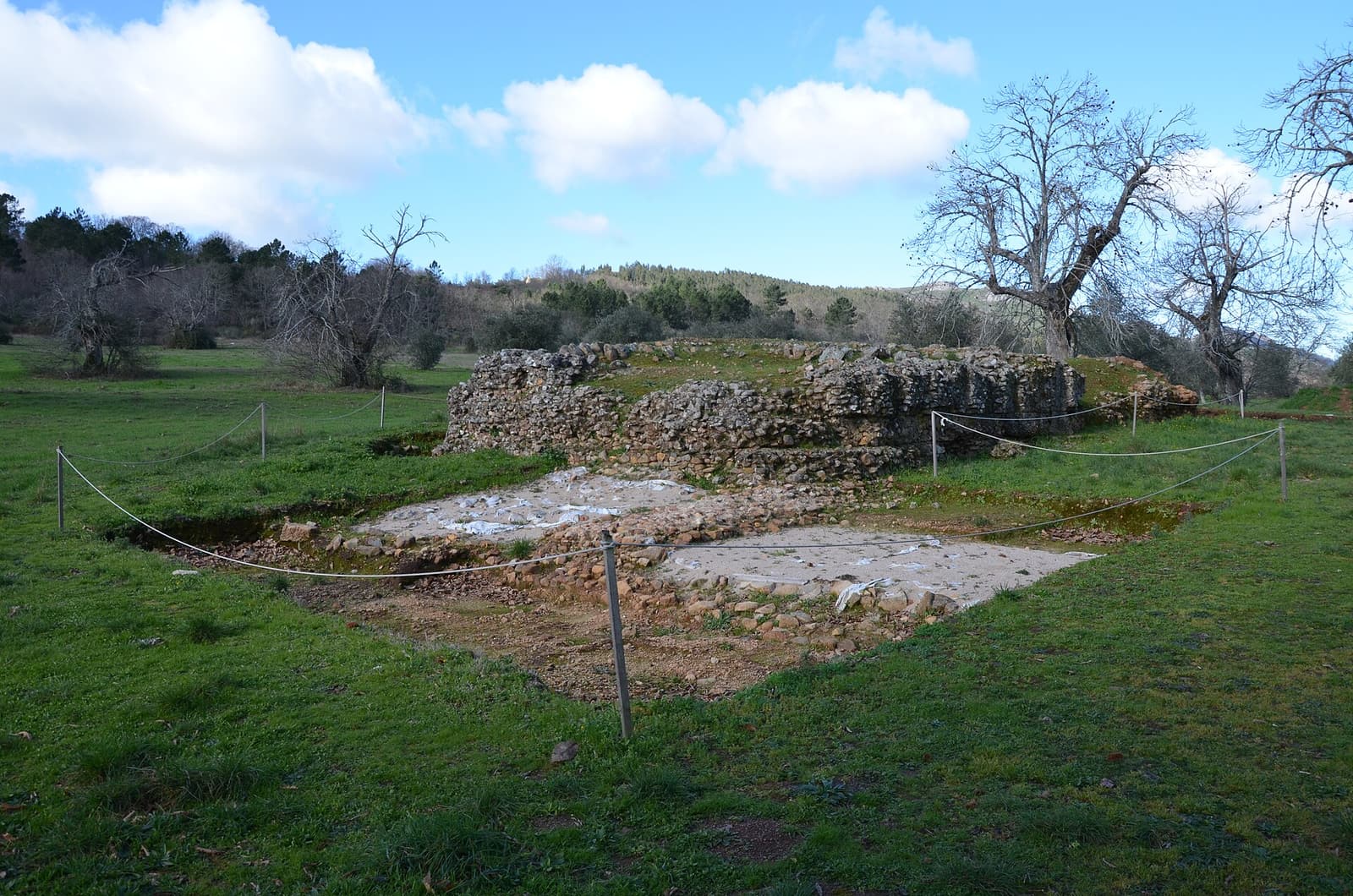 Ammaia