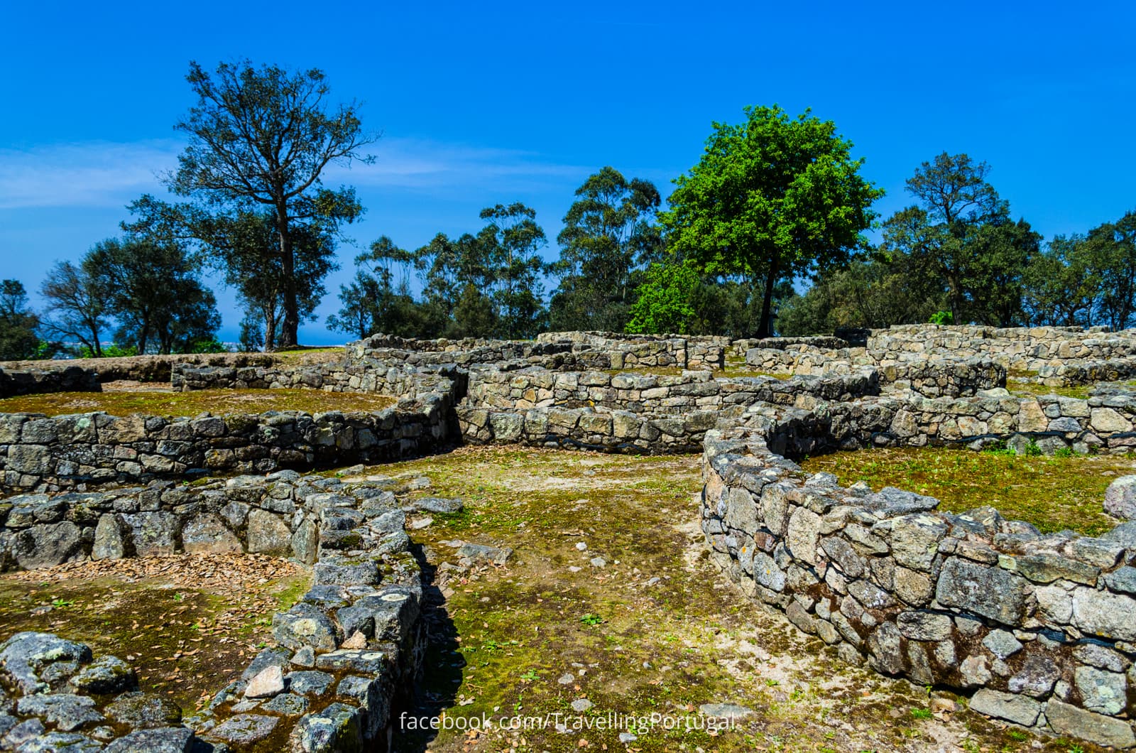 Cividade de Terroso