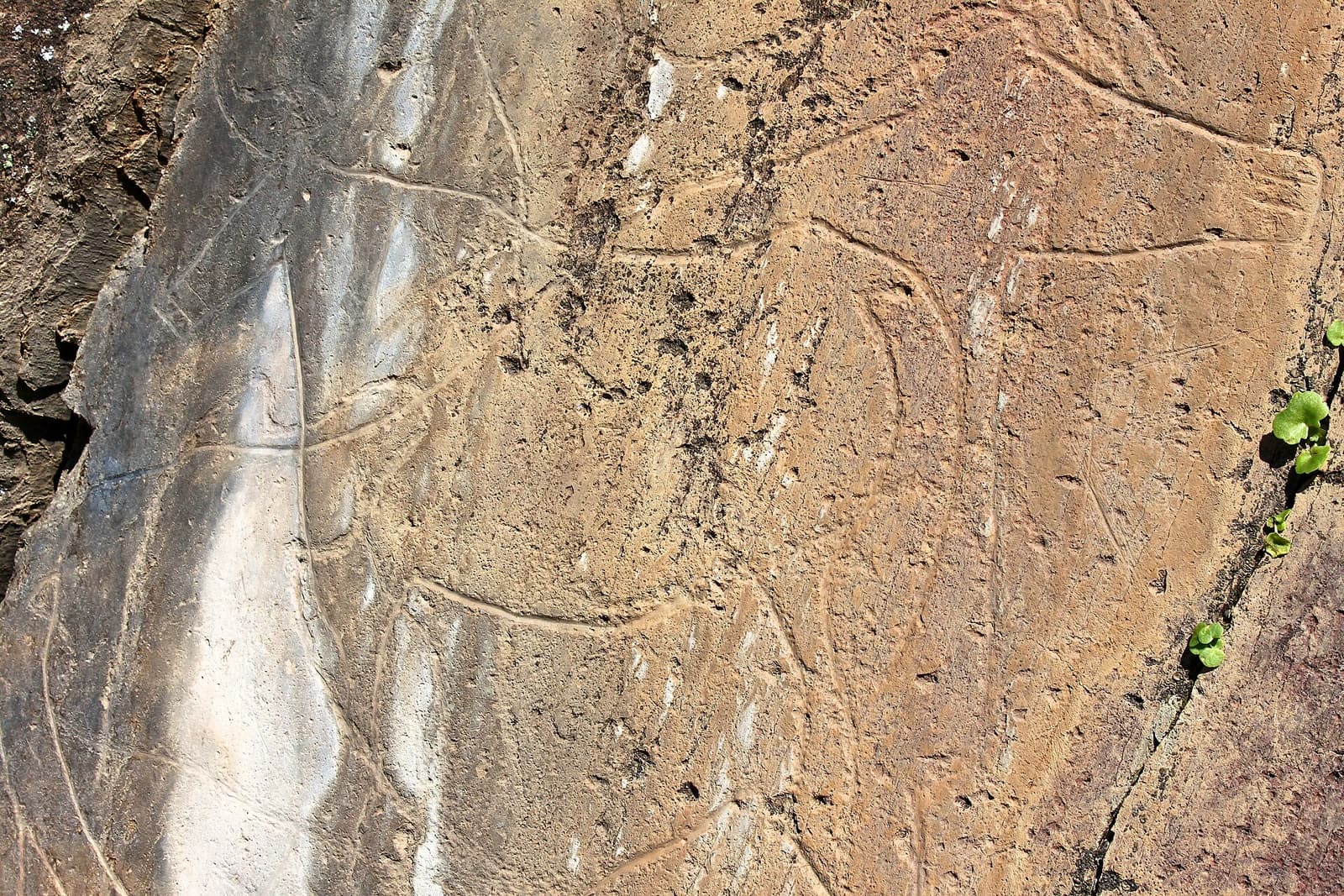 Penascosa