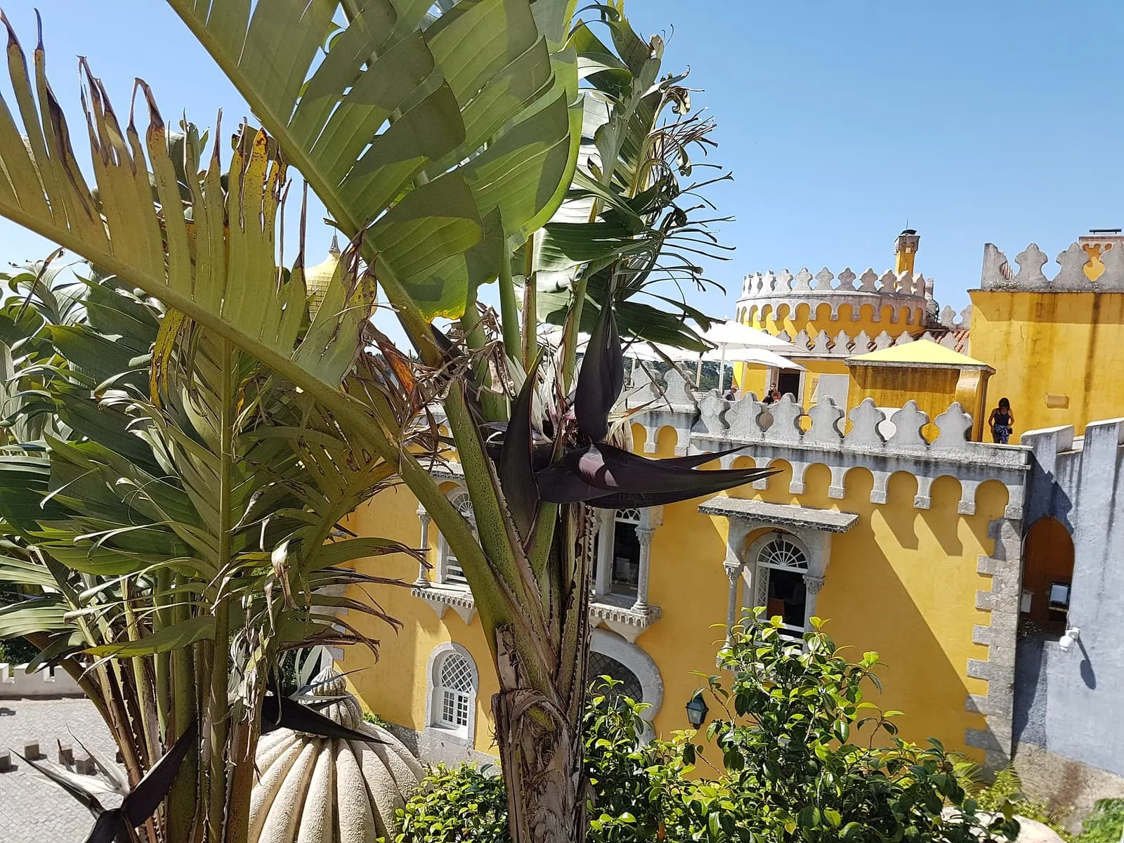 Palácio Nacional da Pena entre a serra de Sintra