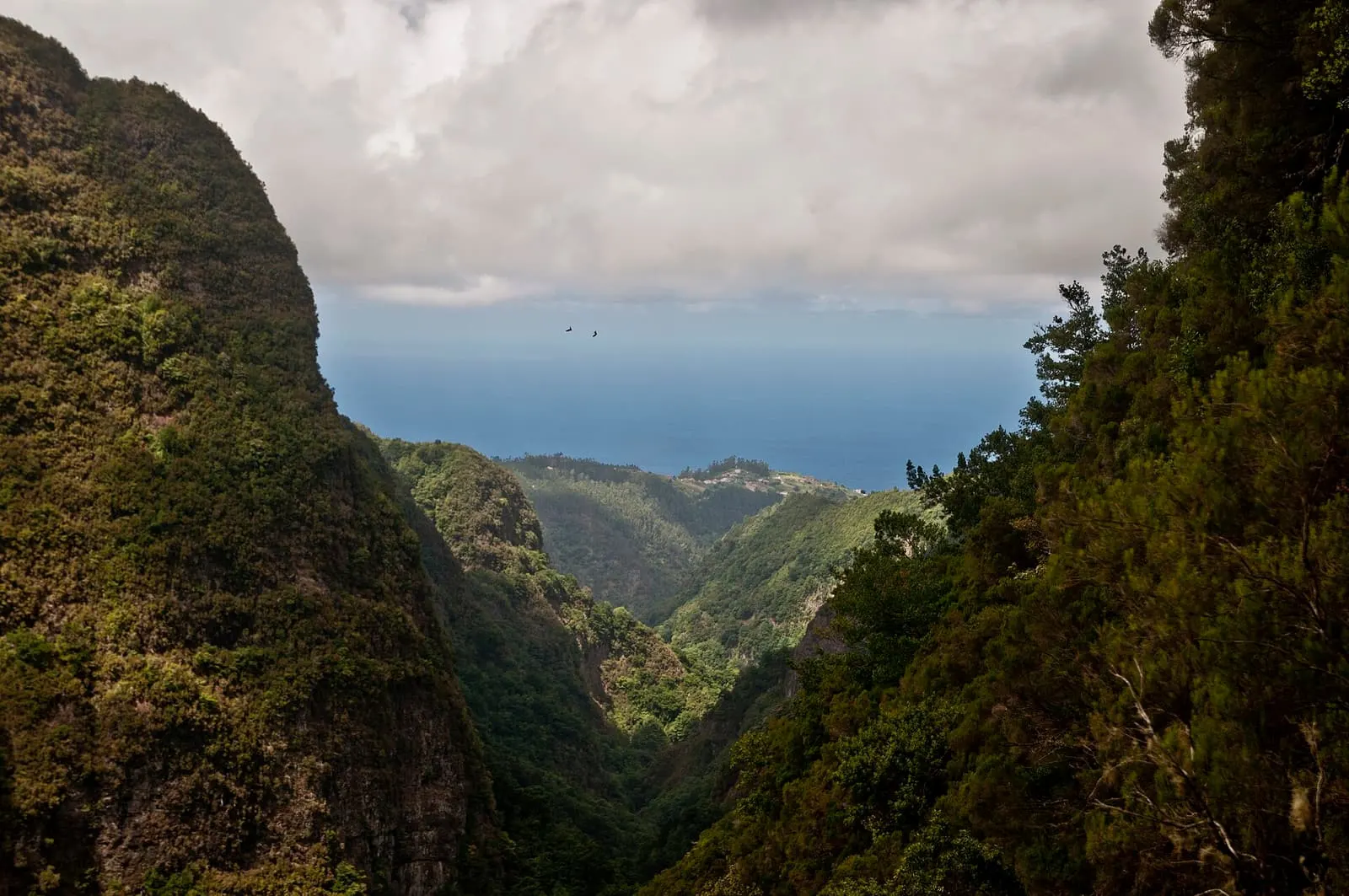 Levadas der Insel Madeira (Vorschlagsliste der UNESCO)