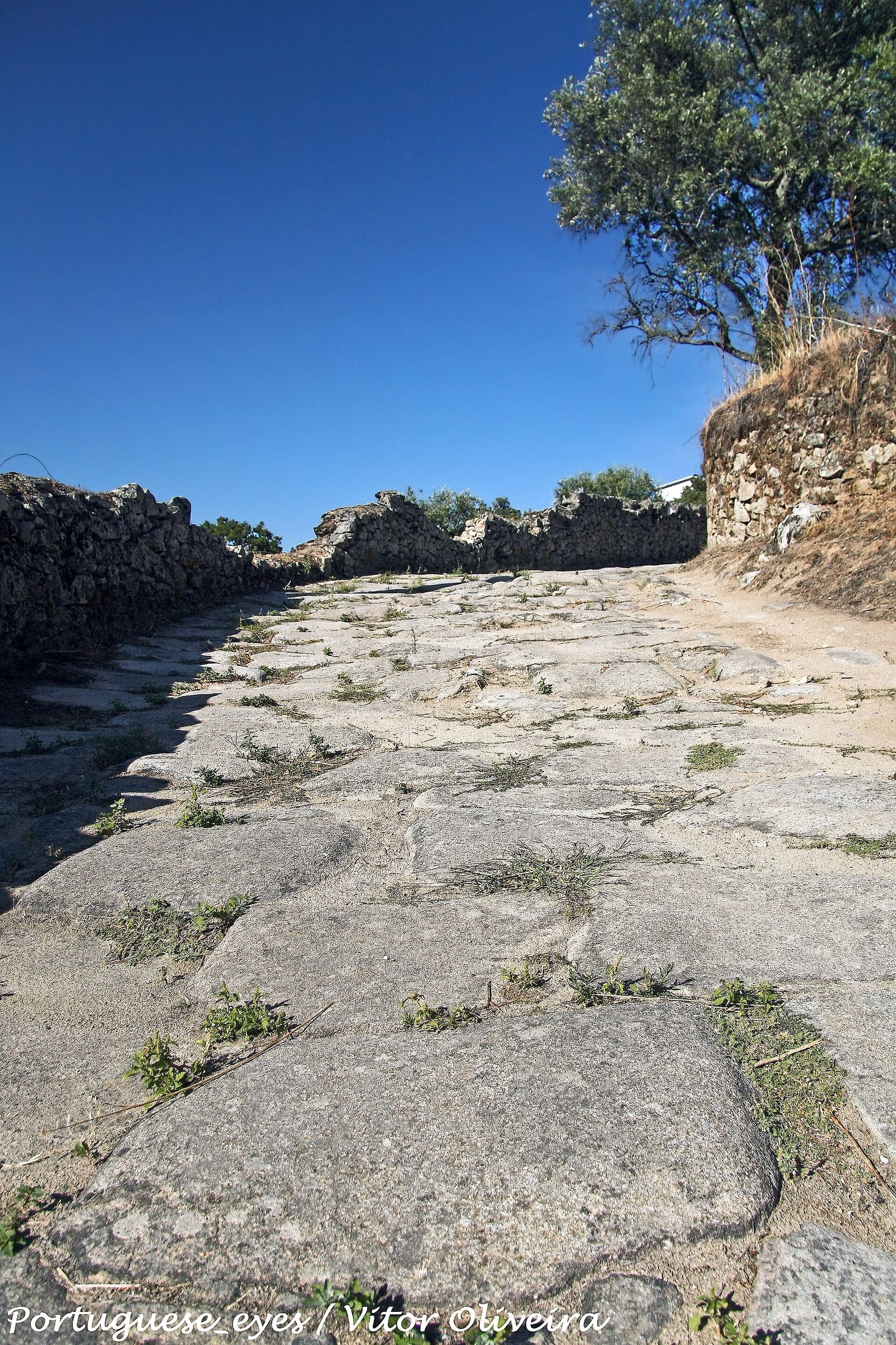 Vias romanas