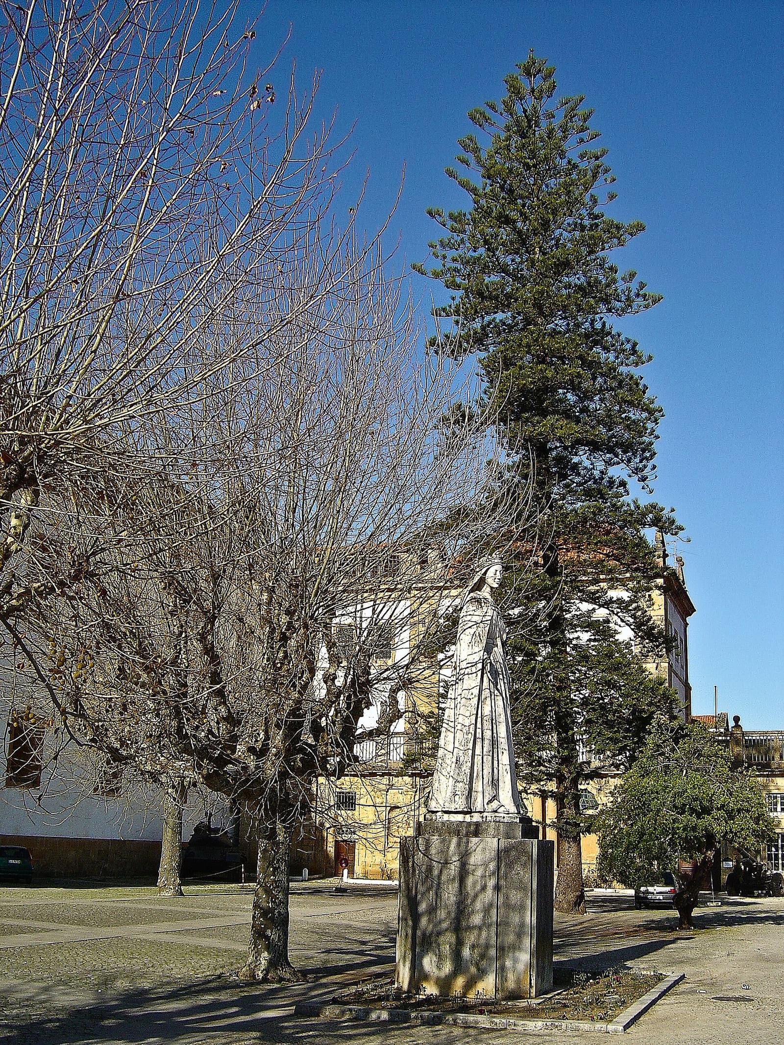 Sé Nova de Coimbra